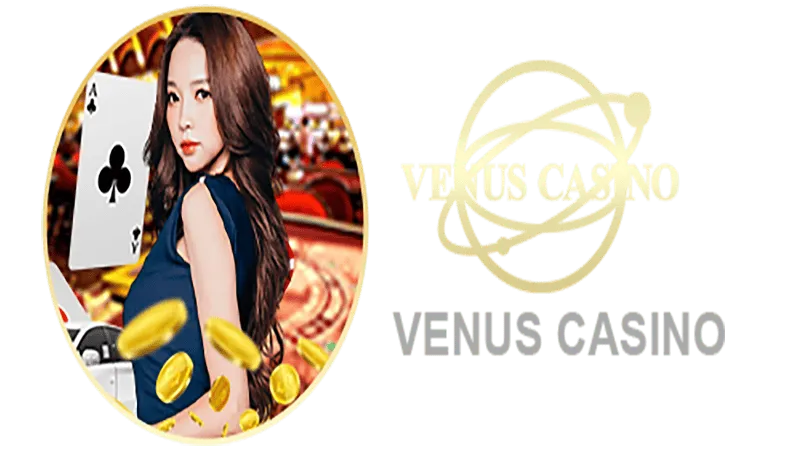 707BET3 Informações básicas sobre o saguão do cassino Venus